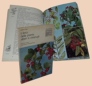 Immagine del venditore per Il libro delle piante alberi e cespugli venduto da Studio Bibliografico Imprimatur