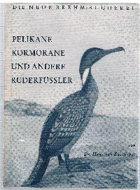 Pelikane Kormorane und andere Ruderfüssler Die neue Brehm-Bücherei Heft 188