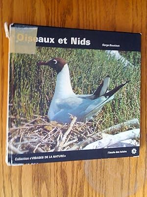 Oiseaux et nids