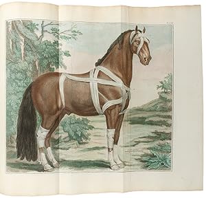 Image du vendeur pour Cours d'hippiatrique, ou trait complet de la mdecine des chevaux mis en vente par Donald A. Heald Rare Books (ABAA)