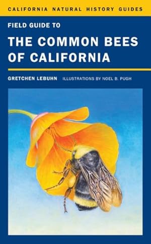 Immagine del venditore per Field Guide to the Common Bees of California : Including Bees of the Western United States venduto da GreatBookPrices