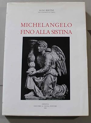 Michelangelo fino alla Sistina