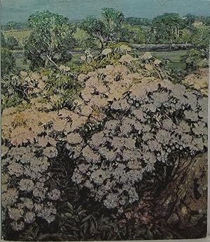 Seller image for Connecticut and American Impressionism for sale by Newbury Books