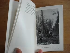 Bild des Verkufers fr Bilder von der Nonnenbekmpfung im Waldviertel (Niedersterreich) 1949 zum Verkauf von Antiquariat Birgit Gerl