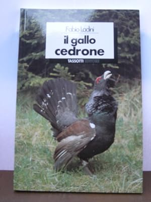 Immagine del venditore per Il gallo cedrone. venduto da Libreria Gull