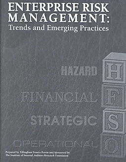 Seller image for Enterprise Risk Management: Trends and Emerging Practices for sale by Libro Co. Italia Srl