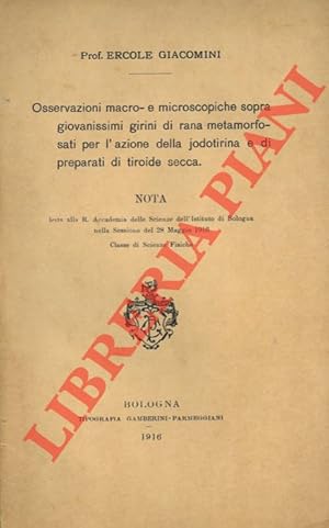 Osservazioni macro- e microscopiche sopra giovanissimi girini di rana metamorfosati per l'azione ...