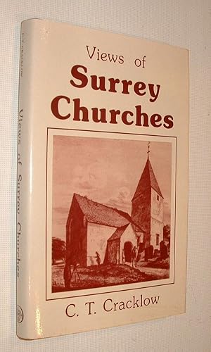 Views of all the Churches and Chapelries in the County of Surrey