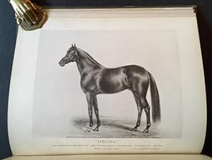 History in Brief of "Leopard" and "Linden", General Grant's Arabian Stallions, Presented to Him b...
