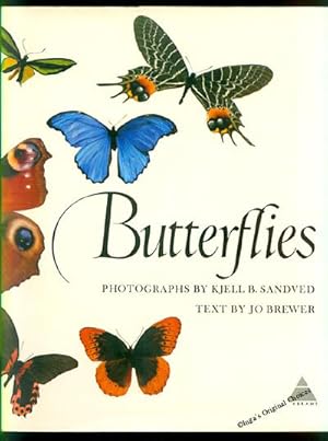 Image du vendeur pour Butterflies mis en vente par Inga's Original Choices
