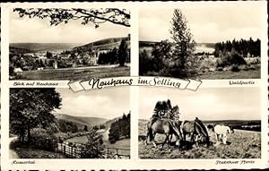 Ansichtskarte / Postkarte Neuhaus im Solling Holzminden, Ansichten, Waldpartie, Pferde, Rumortal