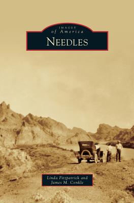 Seller image for Needles (Hardback or Cased Book) for sale by BargainBookStores