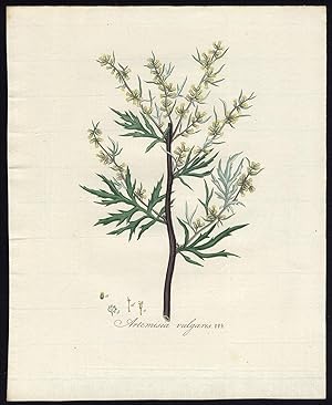 Antique Print-COMMON MUGWORT-ARTEMISIA VULGARIS-WORMWOOD-334-Flora Batava-1800