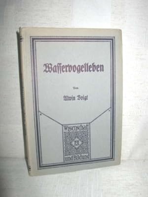 Wasservogelleben (Ein Führer zum Strande)