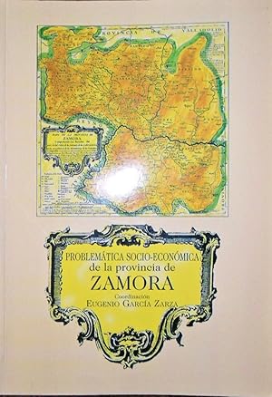 Problemática Socio Económica De La Provincia De Zamora