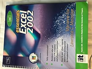 Seller image for Essentials: Excel 2002 (Level 3) for sale by H&G Antiquarian Books