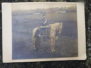 The Drum Horse of the 18th Hussars. An Original Vintage Edwardian Photographic Portrait.