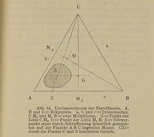 Das Gehen und seine Veraenderungen durch verschiedene Umstaende auf Grund Experimenteller Untersu...