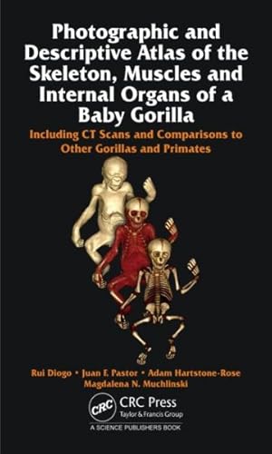 Seller image for Baby Gorilla : Photographic and Descriptive Atlas of Skeleton, Muscles and Internal Organs: Including CT scans and comparison with adult gorillas, humans and other primates for sale by GreatBookPrices