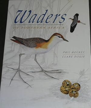 Image du vendeur pour Waders of Southern Africa mis en vente par Chapter 1