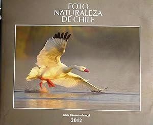 Foto Naturaleza de Chile. Introducción Marco Subiabre y Yerko Vuscovich