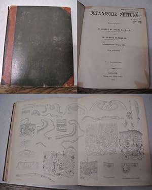 Imagen del vendedor de Ueber Deformation von Pflanzen durch ussere Einflsse, in: BOTANISCHE ZEITUNG. 62. Jg. (1904). a la venta por Antiquariat Bookfarm