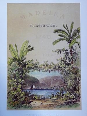 Madeira- Prints