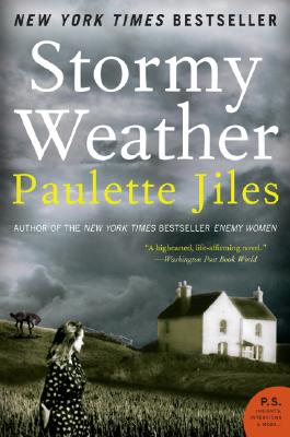 Seller image for Stormy Weather (Paperback or Softback) for sale by BargainBookStores