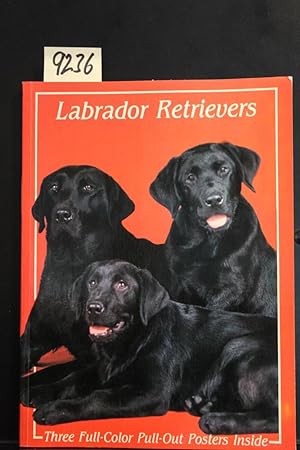 Seller image for Labrador Retrievers for sale by Mad Hatter Bookstore