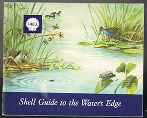 Shell Guide to the Water's Edge