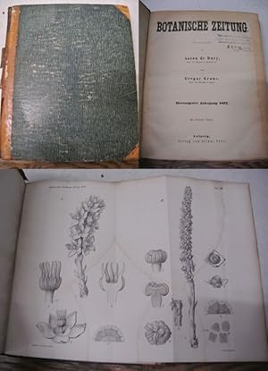 Bild des Verkufers fr Hugo von Mohl (Nachruf), in: BOTANISCHE ZEITUNG. 30. Jg. (1872). zum Verkauf von Antiquariat Bookfarm