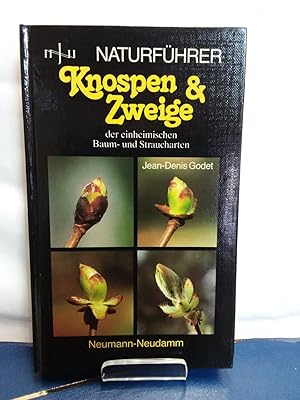 Knospen & Zweige der einheimischen Baum- und Straucharten.