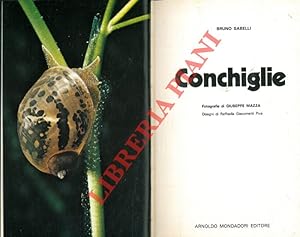 Immagine del venditore per Conchiglie. venduto da Libreria Piani