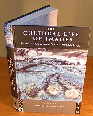 THE CULTURAL LIFE OF IMAGES visual representation in archaeology