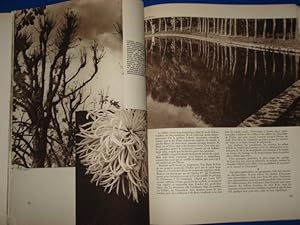 ART ET MEDECINE. DEC. 1931 KOLLAR / SCHALL (Photos)