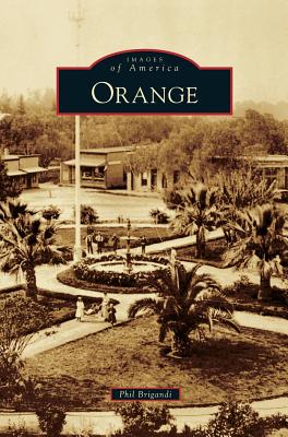 Seller image for Orange (Hardback or Cased Book) for sale by BargainBookStores