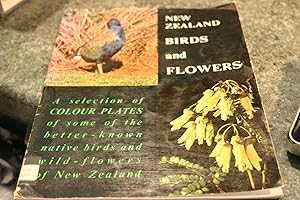 Bild des Verkufers fr New Zealand Birds And Flowers zum Verkauf von SGOIS