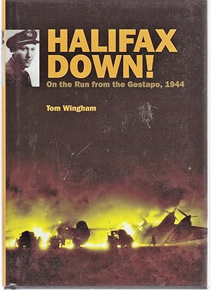 Halifax Down!: On the run from the Gestapo, 1944