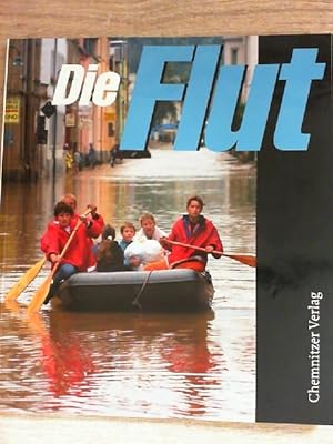 Die Flut: Die Hochwasserkatastrophe im August 2002 Eine Dokumentation