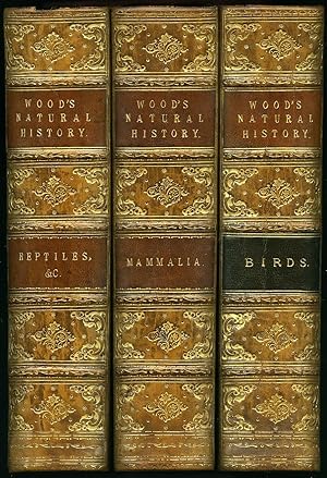 Image du vendeur pour The Illustrated Natural History | Three Volumes. Volume 1: Mammalia; Volume 2: Birds; Volume 3: Reptiles, Fishes, Molluscs Etc. [3 / III Volumes] mis en vente par Little Stour Books PBFA Member