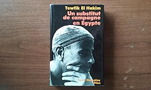 Un substitut de campagne en Egypte. Journal d'un substitut de procureur égyptien