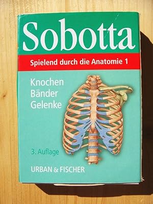 Bild des Verkufers fr Spielend durch die Anatomie 1: Knochen, Bnder, Gelenke zum Verkauf von Versandantiquariat Manuel Weiner