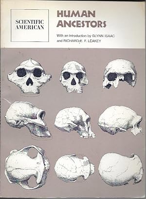 Bild des Verkufers fr Human Ancestors: Readings from "Scientific American" zum Verkauf von Bookfeathers, LLC