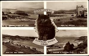 Seller image for Ansichtskarte / Postkarte Oban Schottland, Ganavan Sands, Firth of Lorne, Golf Course, Morvern Hills, Hauskatze for sale by akpool GmbH