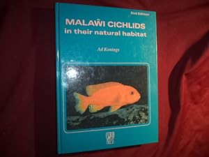 Image du vendeur pour Malawi Cichlids in Their Natural Habitat. mis en vente par BookMine