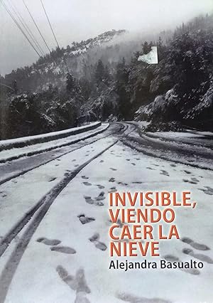 Imagen del vendedor de Invisible, viendo caer la nieve. Novela a la venta por Librera Monte Sarmiento