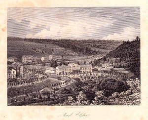 Bild des Verk�ufers f�r Gesamtansicht. Stahlstich. zum Verkauf von Antiquariat Heinz Tessin