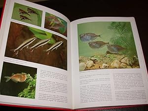 Bild des Verkufers fr Le grand livre de l'aquarium zum Verkauf von Hairion Thibault
