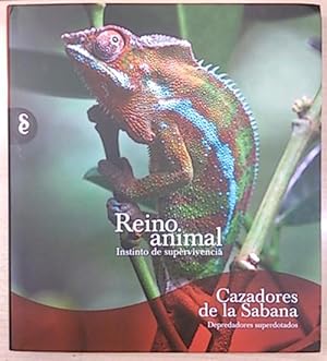 Reino Animal, Instinto De Supervivencia. Cazadores De La Sabana : Depredadores Superdotados