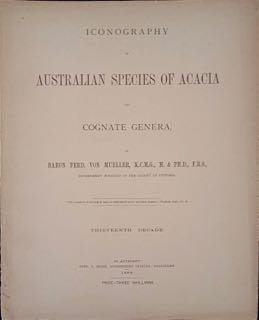 Iconography of Australian species of acacia and cognate genera, Thirteenth Decade.